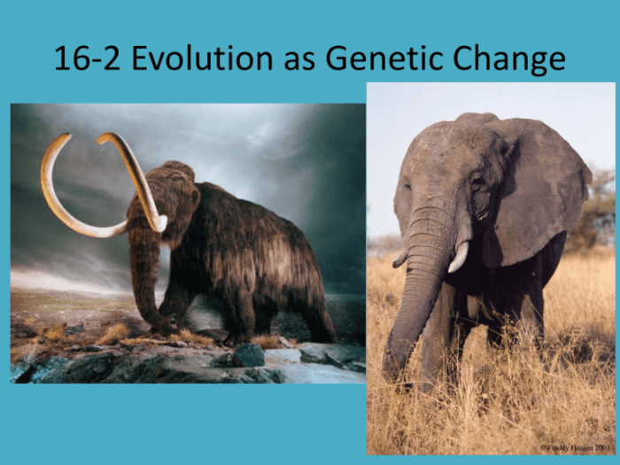 Evolutionary genome replication biases identifies predictions