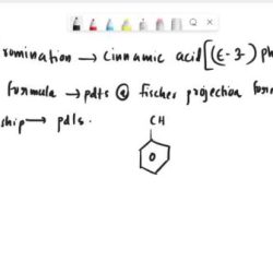 Acid dibromo stereoisomers phenyl propanoic four different solved 3r 2r