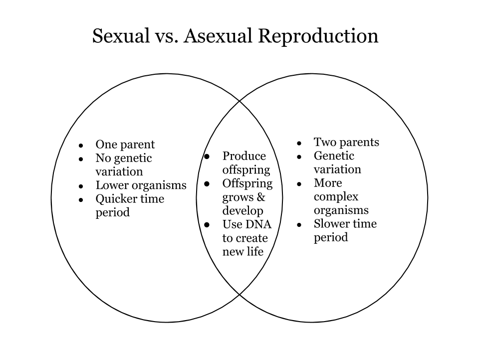 Asexual vs sexual reproduction venn diagram