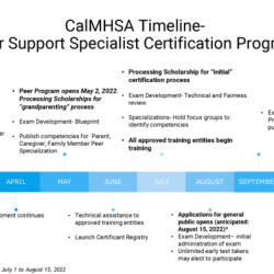 Calmhsa peer certification study guide