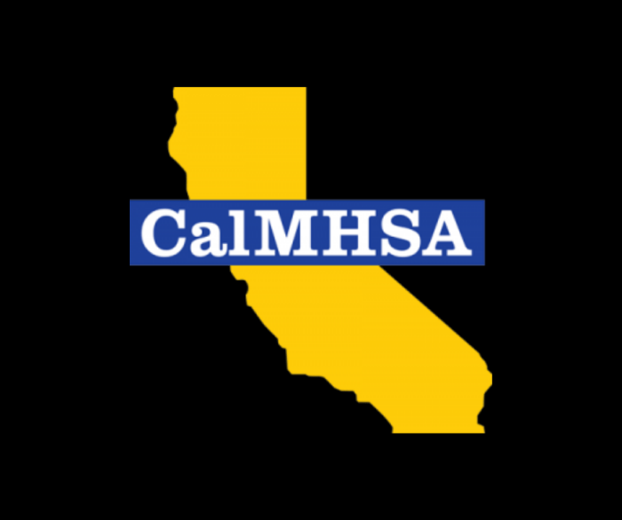 Calmhsa peer certification study guide