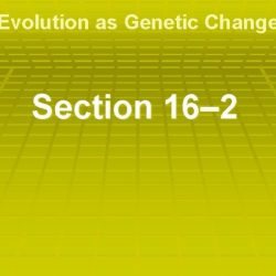 Section 16-2 evolution as genetic change