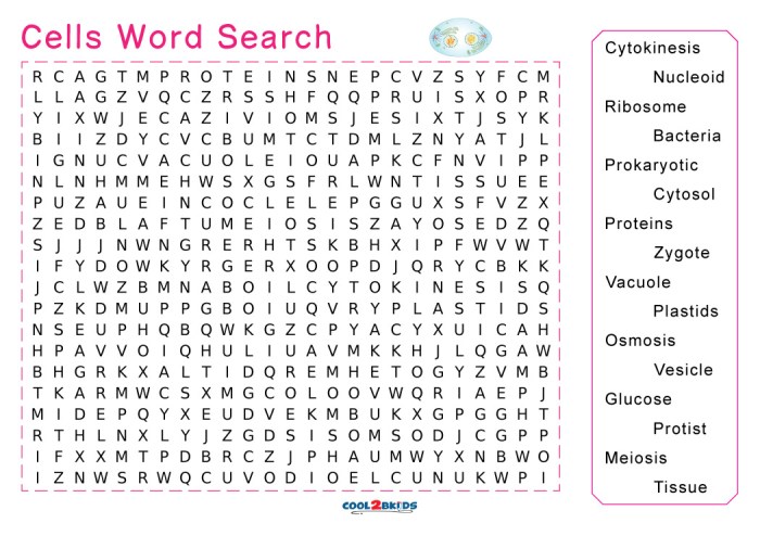 Cell and cell organelles word search puzzle answer key