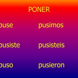 Irregular preterites venir poner decir and traer p 274 answers