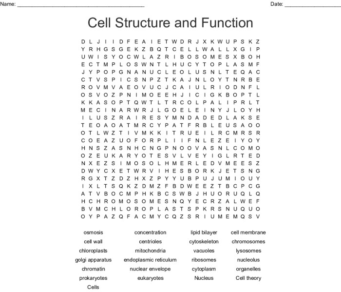 Cell and cell organelles word search puzzle answer key