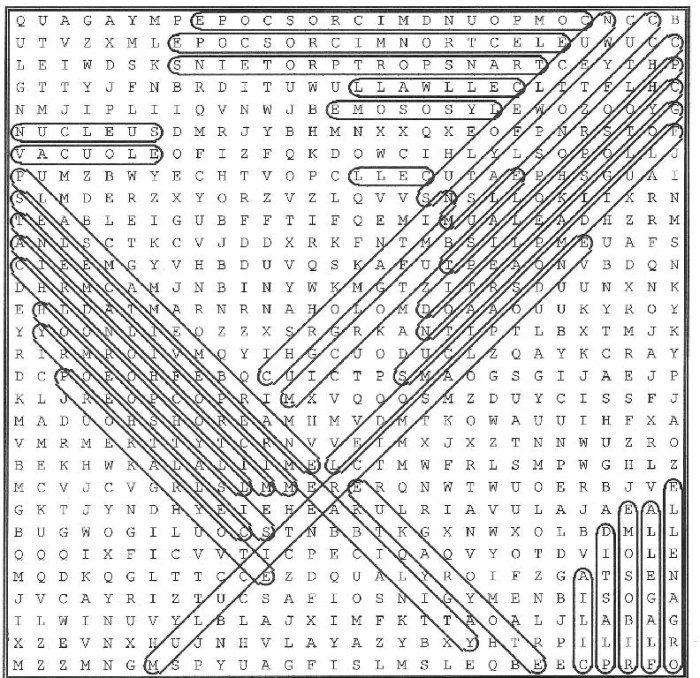 Cell and cell organelles word search puzzle answer key