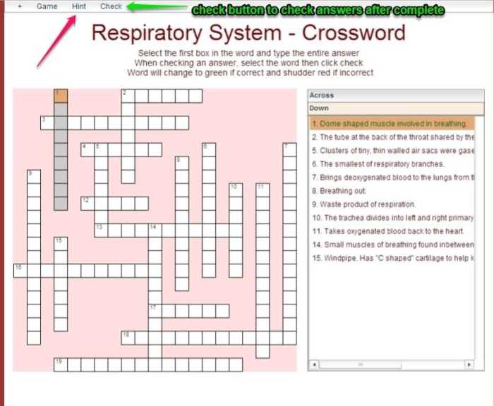 Cellular respiration crossword puzzle answer key pdf