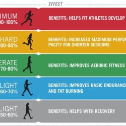 Difference between high and low intensity exercise bigtop