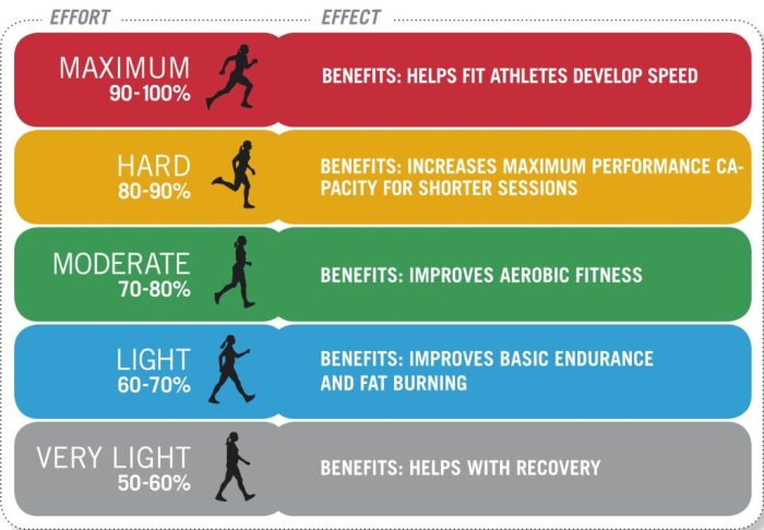 Difference between high and low intensity exercise bigtop