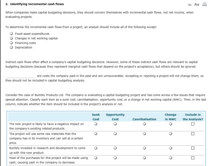 Ideally capital budgeting analysis should take cash flows into account