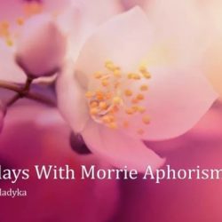 Morrie tuesdays aphorisms ratings