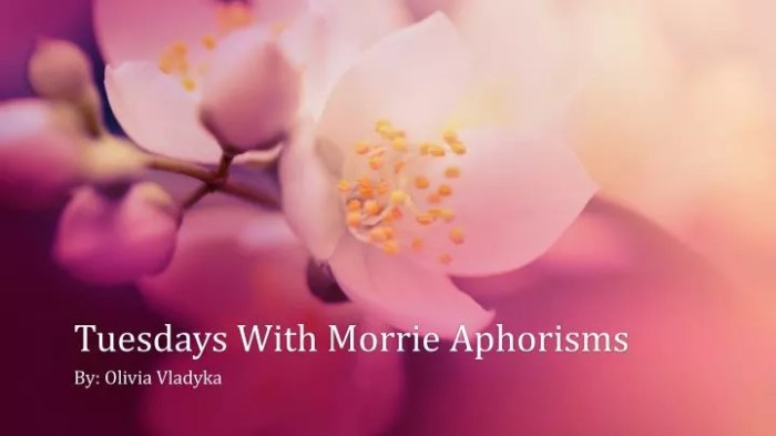 Morrie tuesdays aphorisms ratings